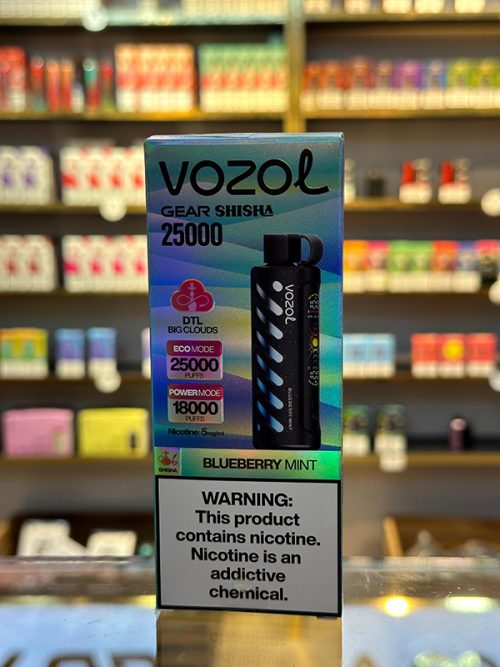 Vozol Gear Qaragilə Nanə 25000 Tüstü 5% Nikotin Shisha