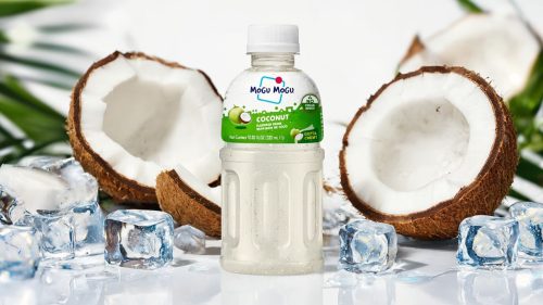 Mogu Mogu Kokos 320ml