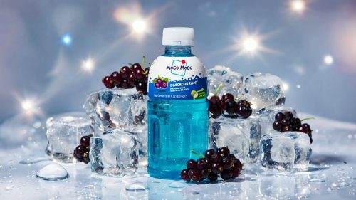Mogu Mogu Qarağat 320ml