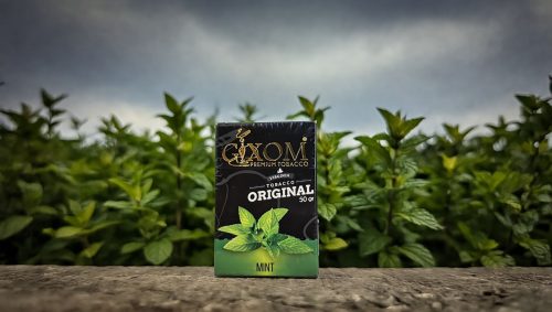 GIXOM 50qr  MİNT