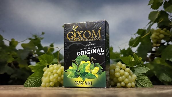 698b2efe4fe07fe9e18a2b7a GIXOM 50qr GRAPE MINT