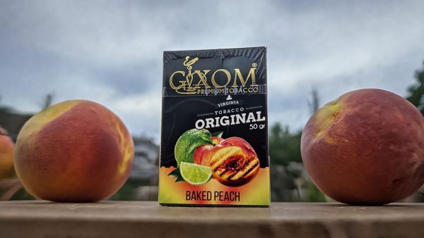 698b2f7d5b01ba0990ccaae2 GIXOM 50qr BAKED PEACH
