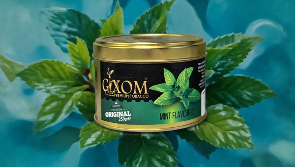 698b44c53f2baa47350e2262 GIXOM 250qr MINT