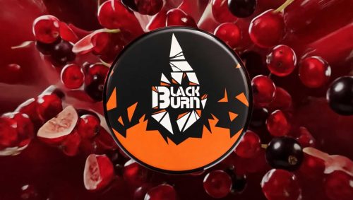 6994a9257d64a09374d89f88 Blackburn Red Currant 25qr