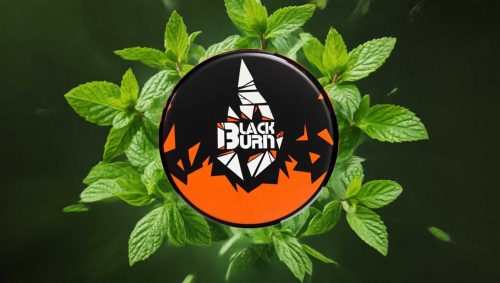 Blackburn  Cane Mint  25qr