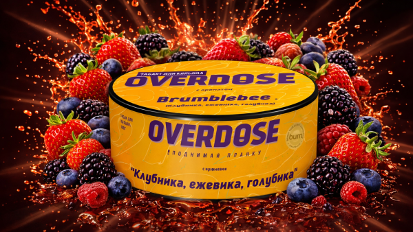Overdose  Brumblebee  25qr